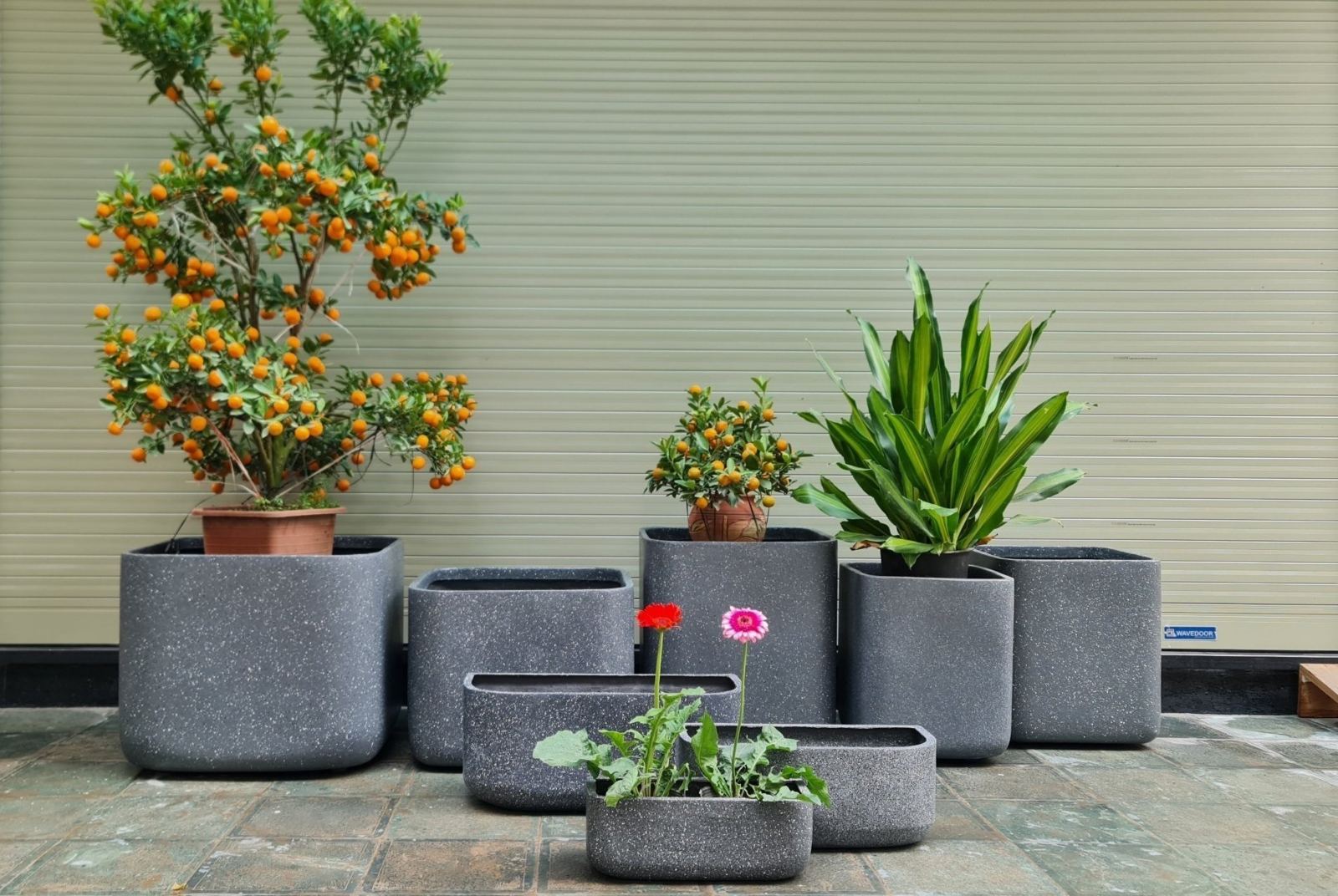 Chậu composit sợi thủy tinh