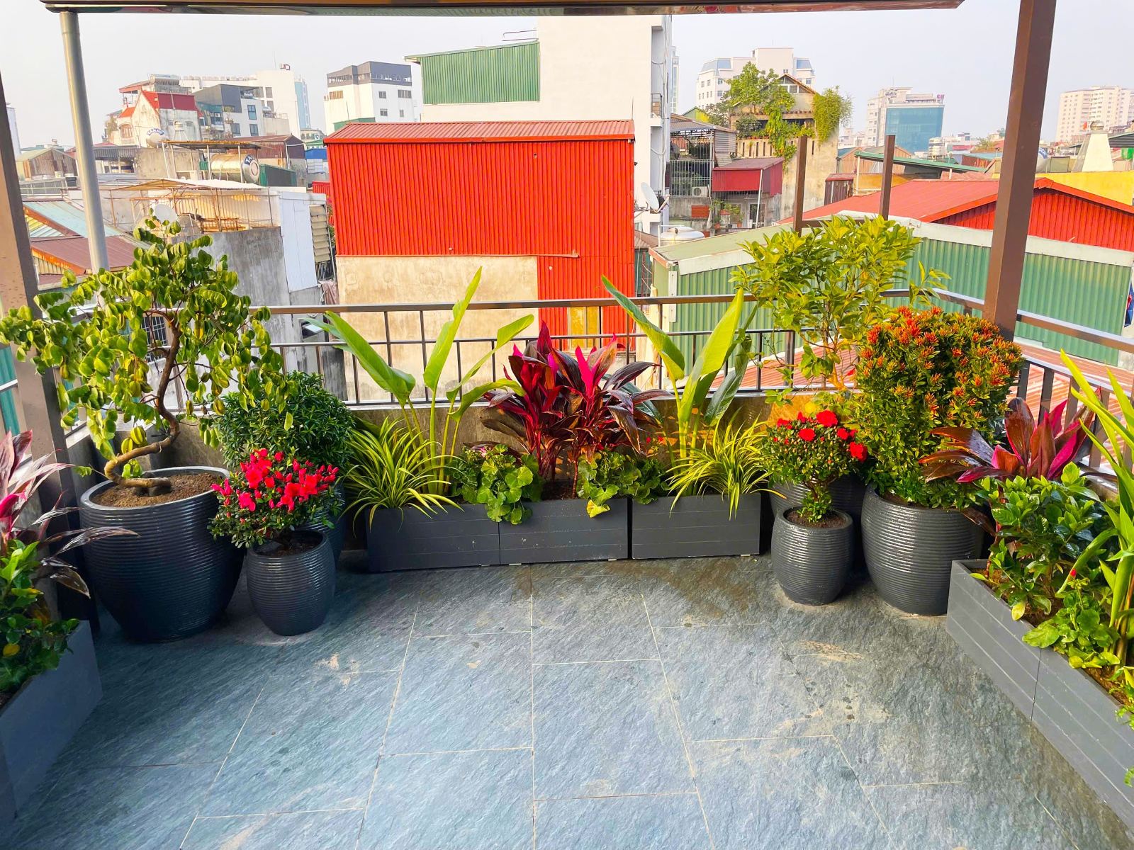 Tiểu cảnh vườn sân thượng anh Dương Nguyễn Thuận