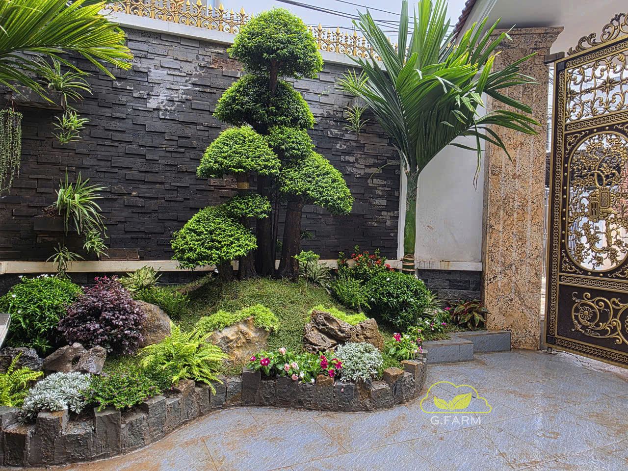 Sân vườn nhà phố