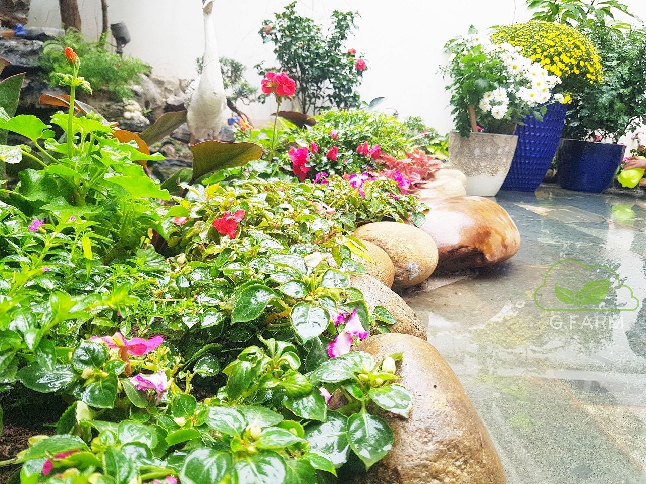 Thiết kế và thi công sân vườn biệt thự đẹp