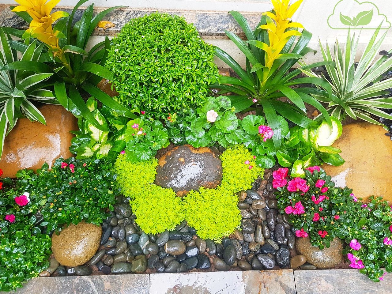 Thiết kế và thi công sân vườn biệt thự đẹp