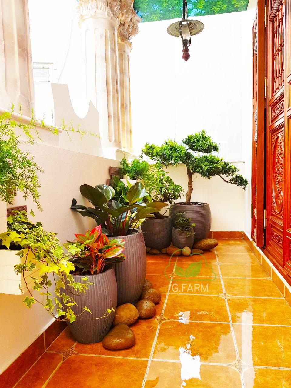 Top ban công đẹp tại hà nội