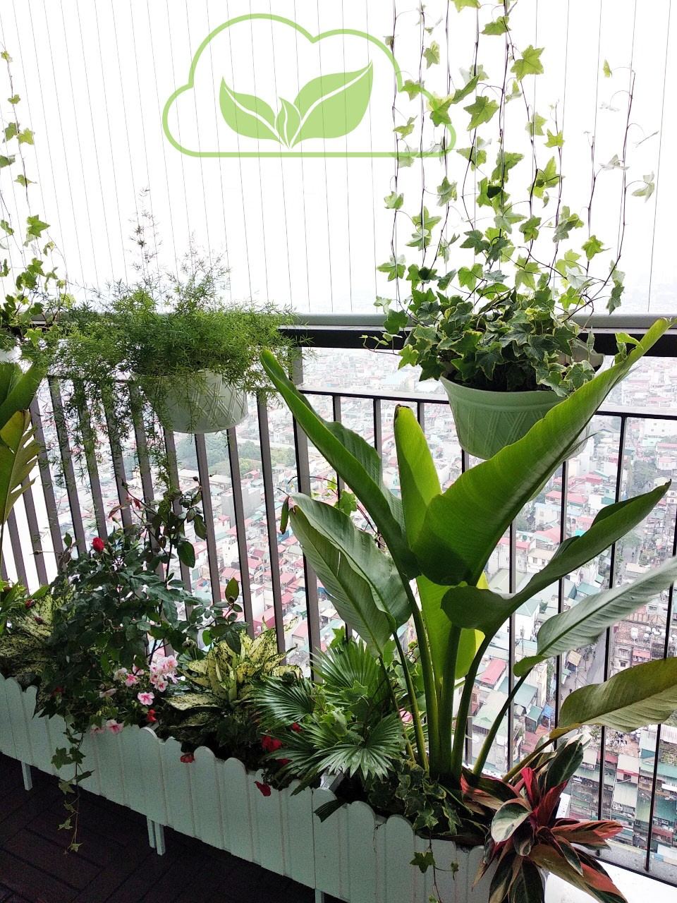 Top ban công đẹp tại hà nội