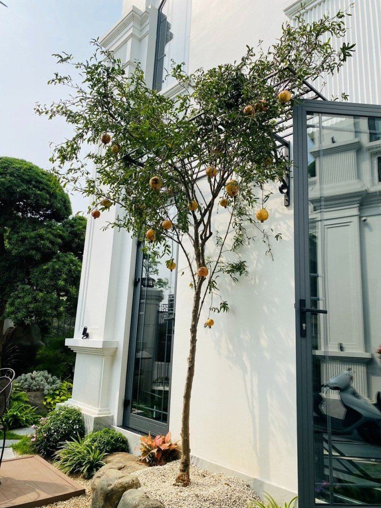 Vườn biệt thự đẹp Hà Nội