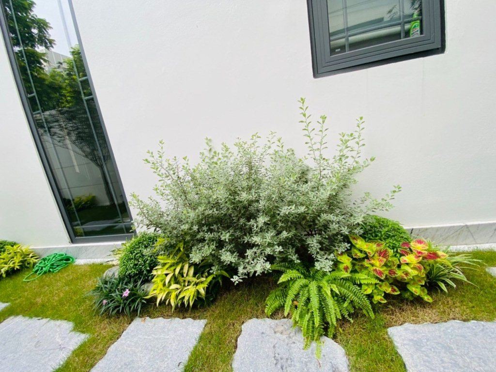 Vườn biệt thự đẹp Hà Nội