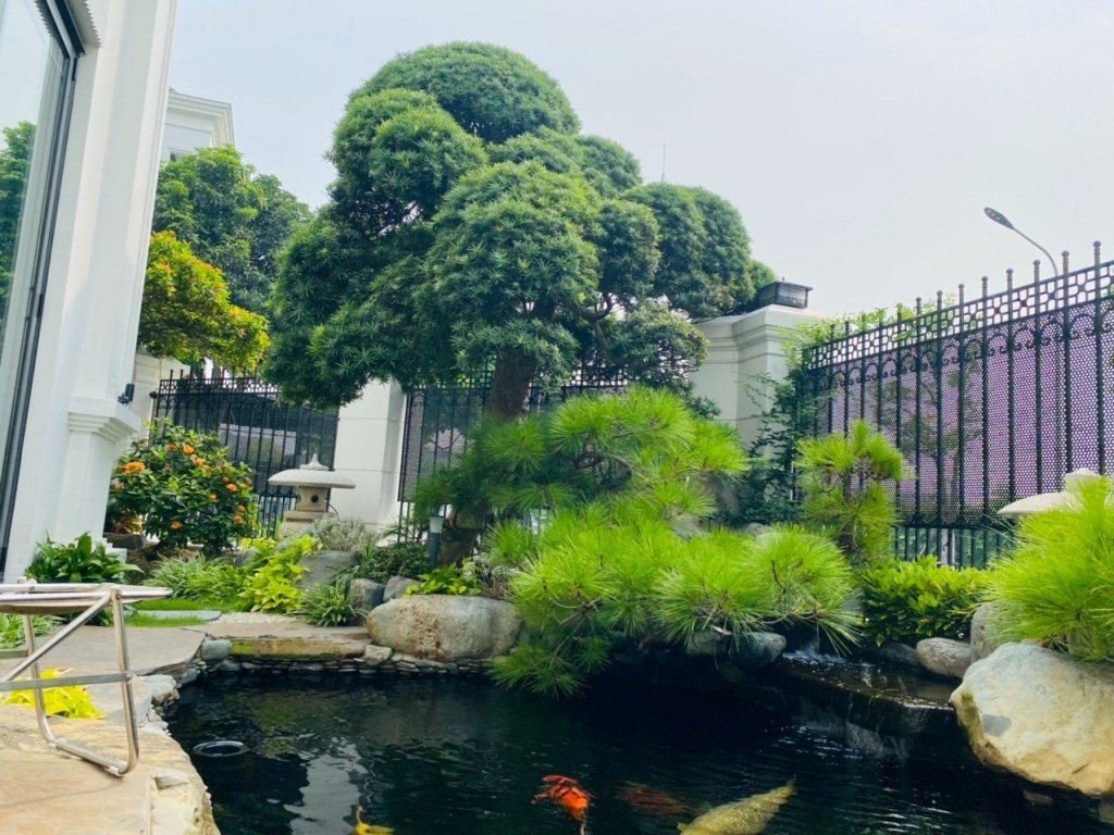 Vườn biệt thự đẹp 6/2023