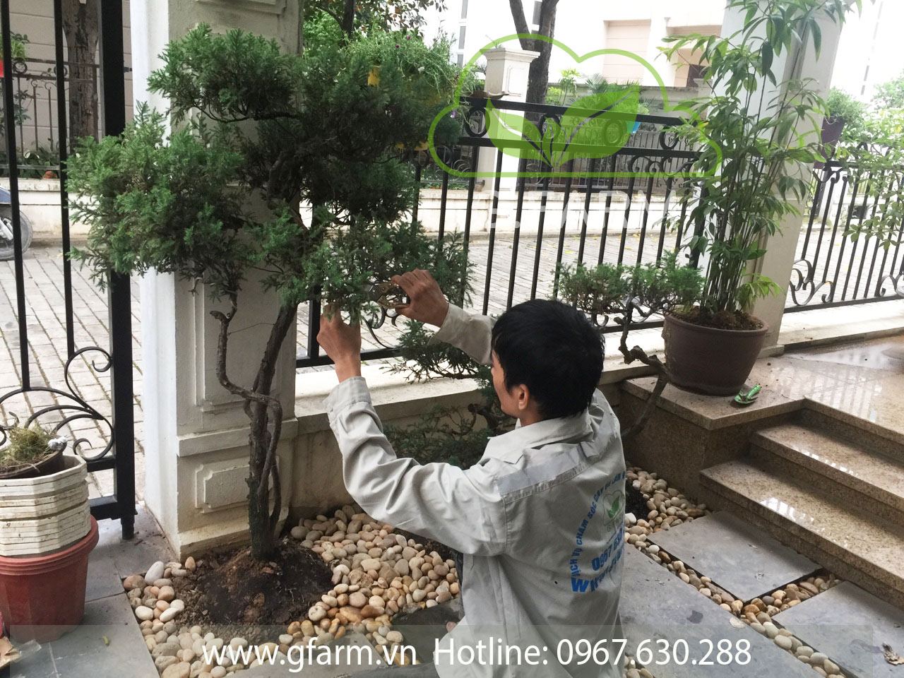thi công vườn uy tín tại Hà nội