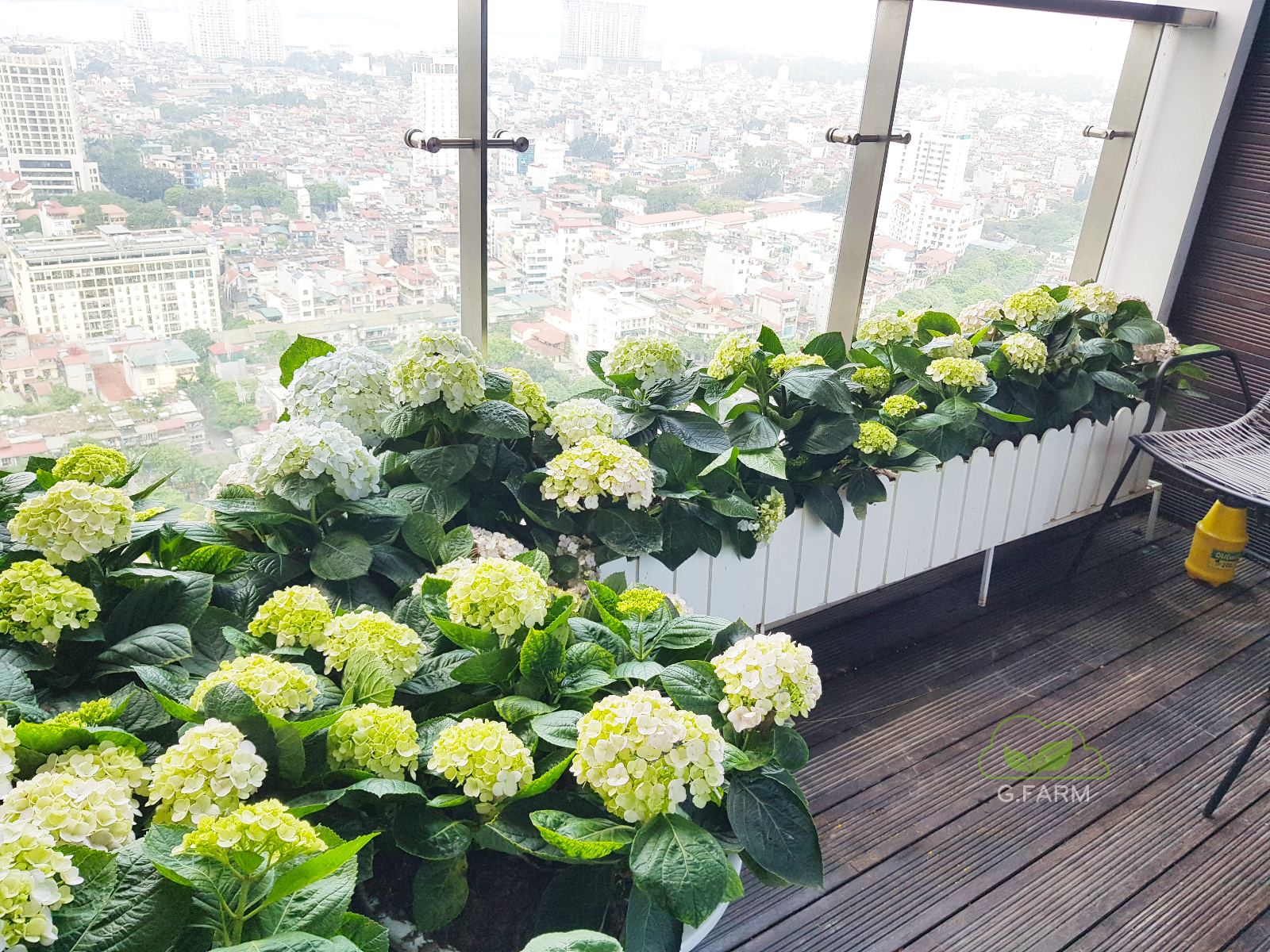 thi công sân vườn uy tín tại Hà nội