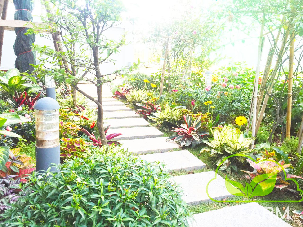 thi công sân vườn uy tín tại Hà nội