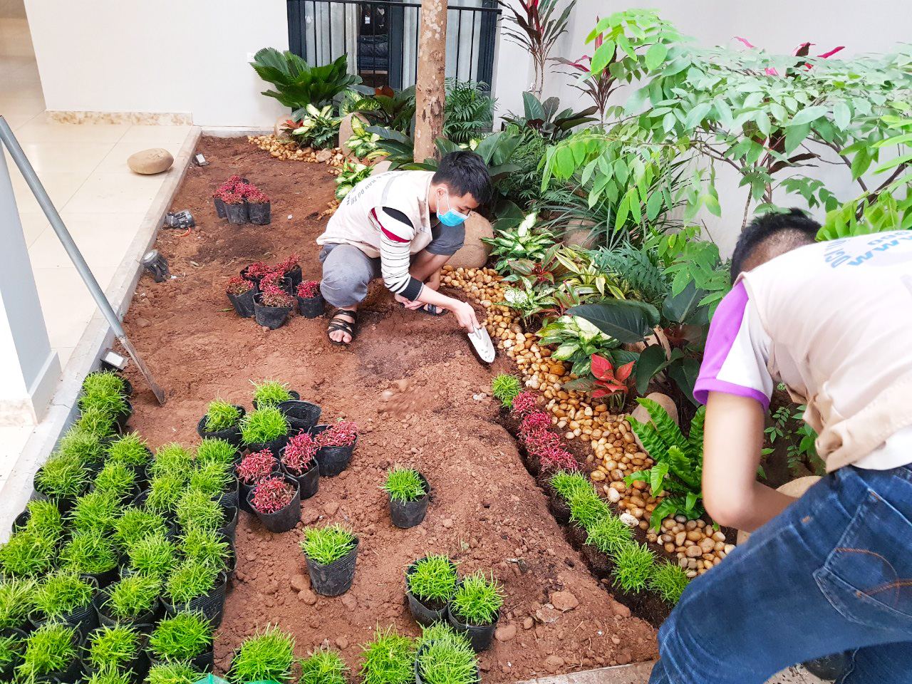 Sản phẩm thi công cảnh quan sân vườn