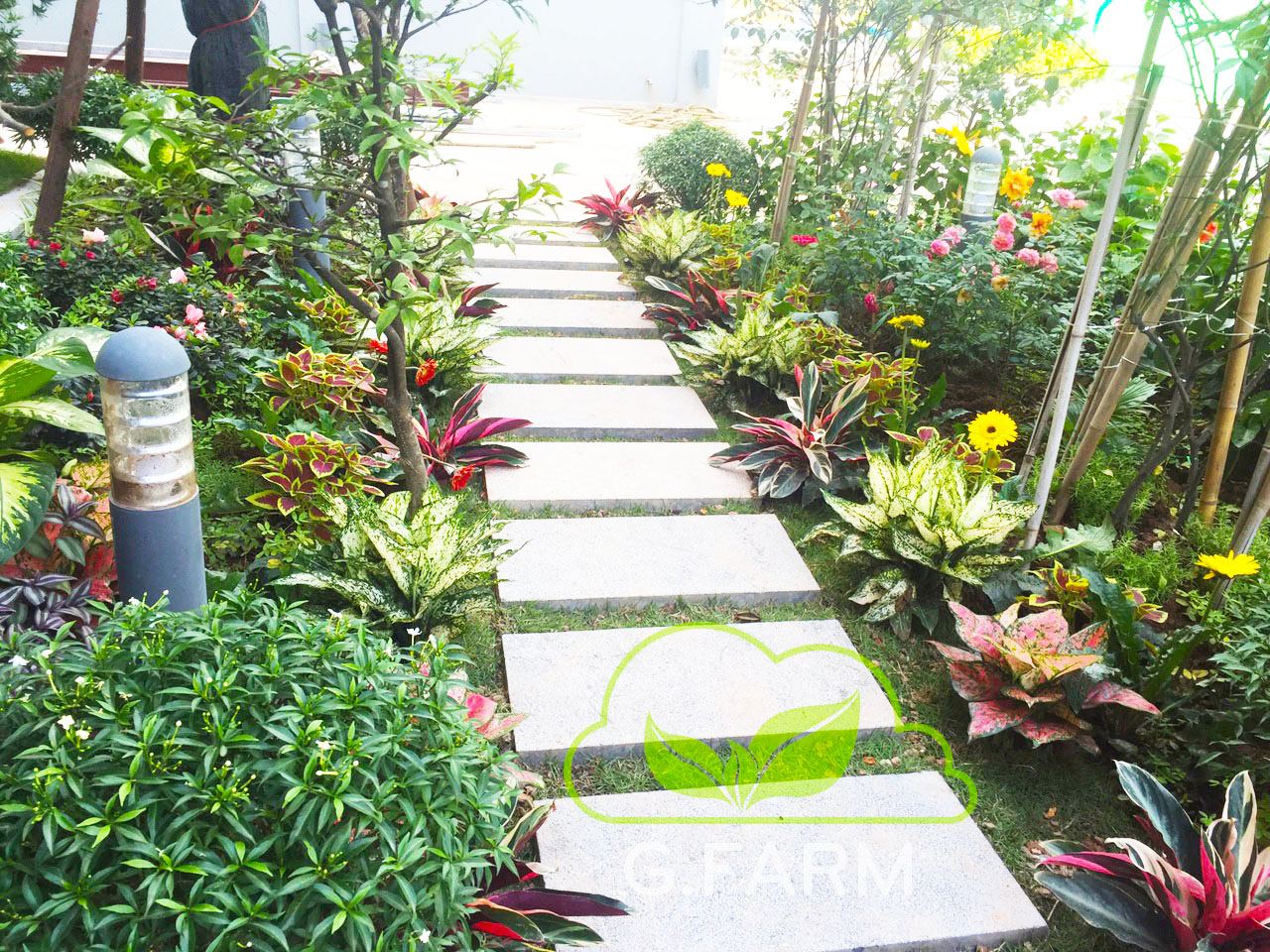 Tiểu cảnh vườn cây hoa phối hợp