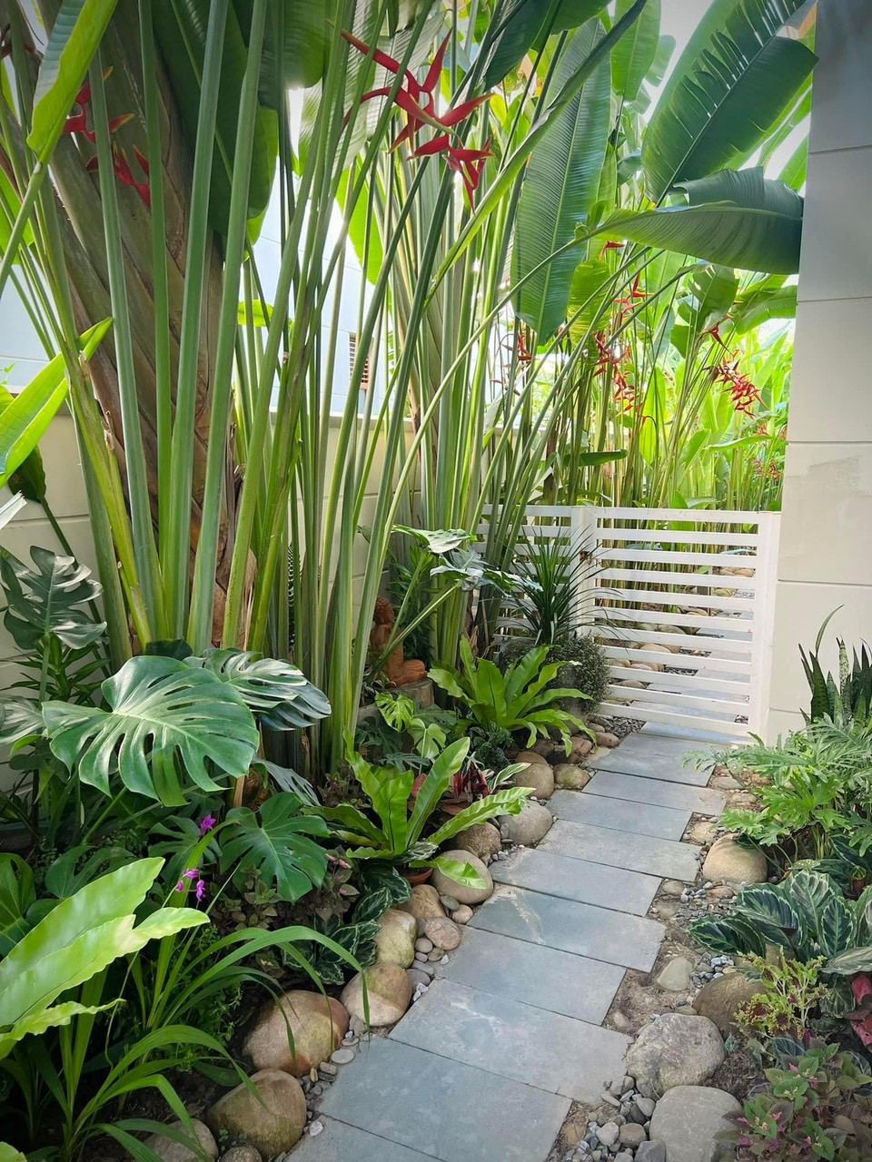 thiết kế sân vườn nhỏ