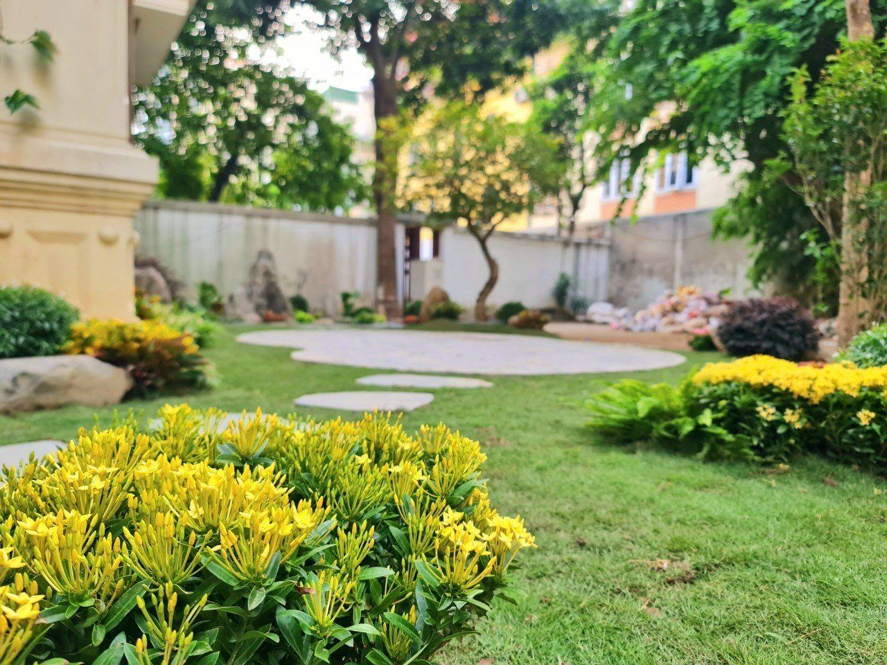 thiết kế sân vườn nhỏ