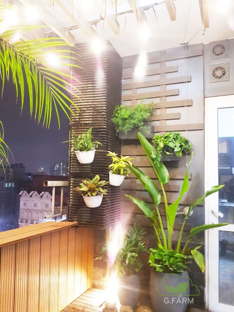 Vườn chị Hà vimeco