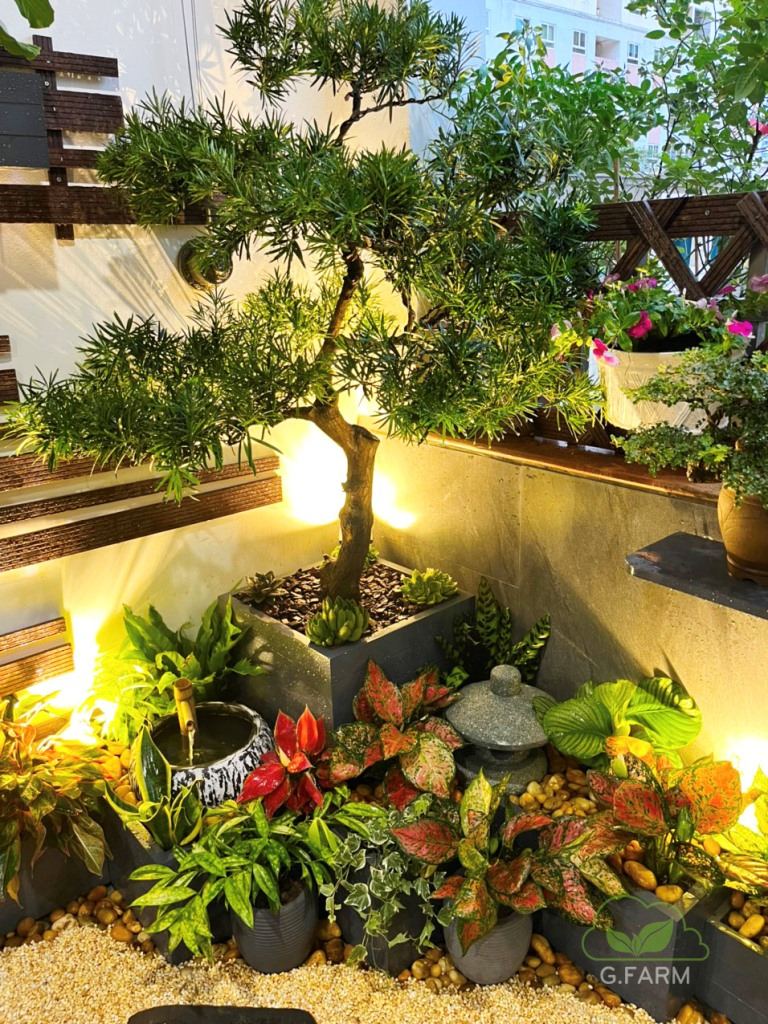 Tiểu cảnh vườn nhật ban công