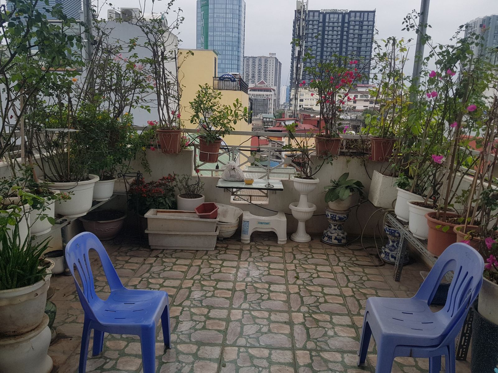 Vườn sân thượng nghệ thuật Chú Quế Nguyên Hồng