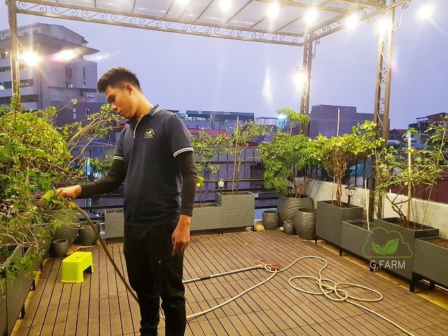 Thiết kế và thi công vườn sân thượng