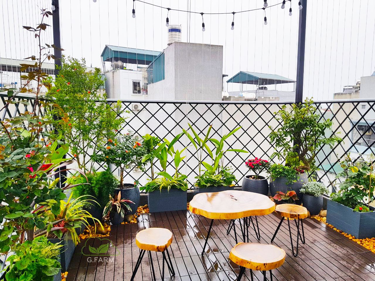 Vườn trên sân thượng nhỏ
