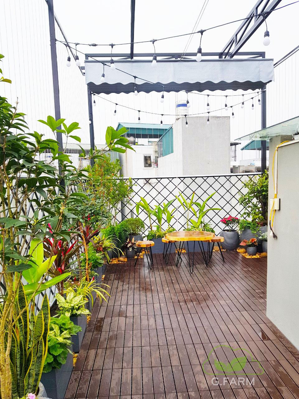Vườn sân thượng Chị Lan Anh- Thạch Bàn