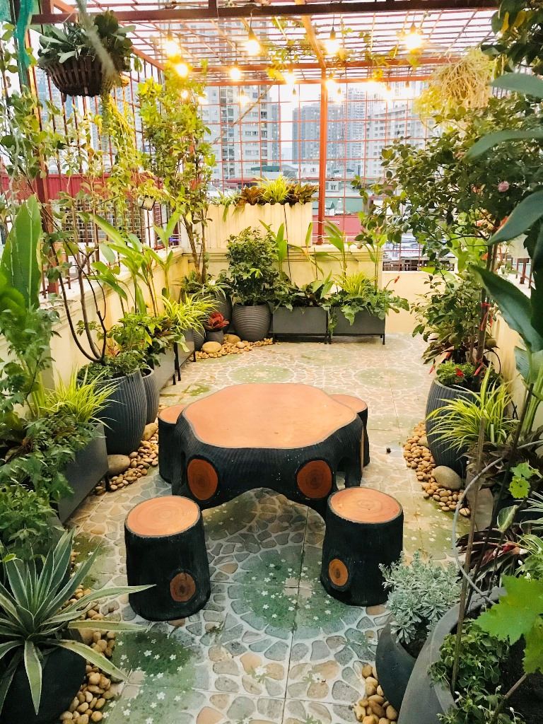 Vườn sân thượng Chị Tâm-  Phố Chính Kinh