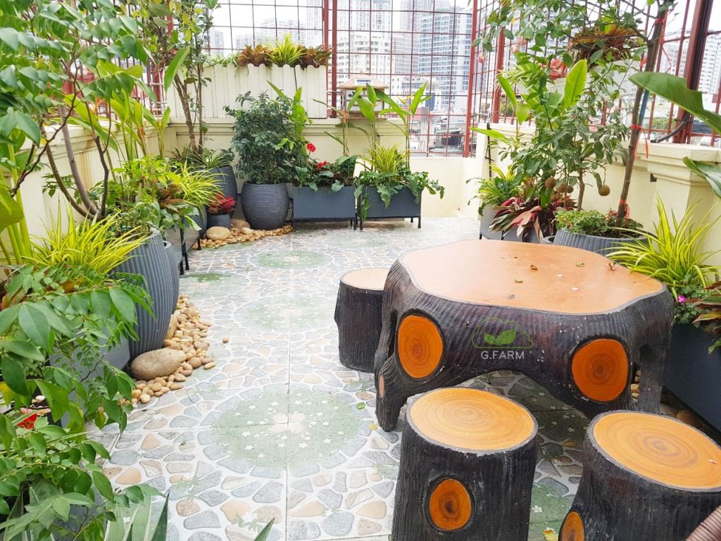 Vườn sân thượng Chị Tâm-  Phố Chính Kinh