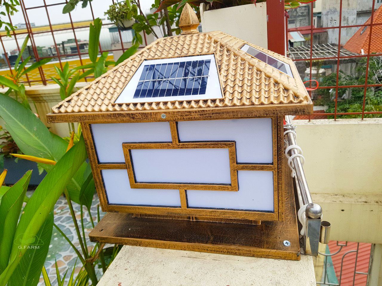 Vườn sân thượng Chị Tâm-  Phố Chính Kinh