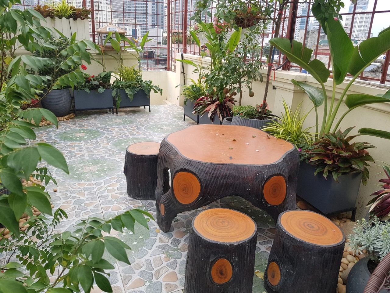 Vườn sân thượng Chị Tâm-  Phố Chính Kinh
