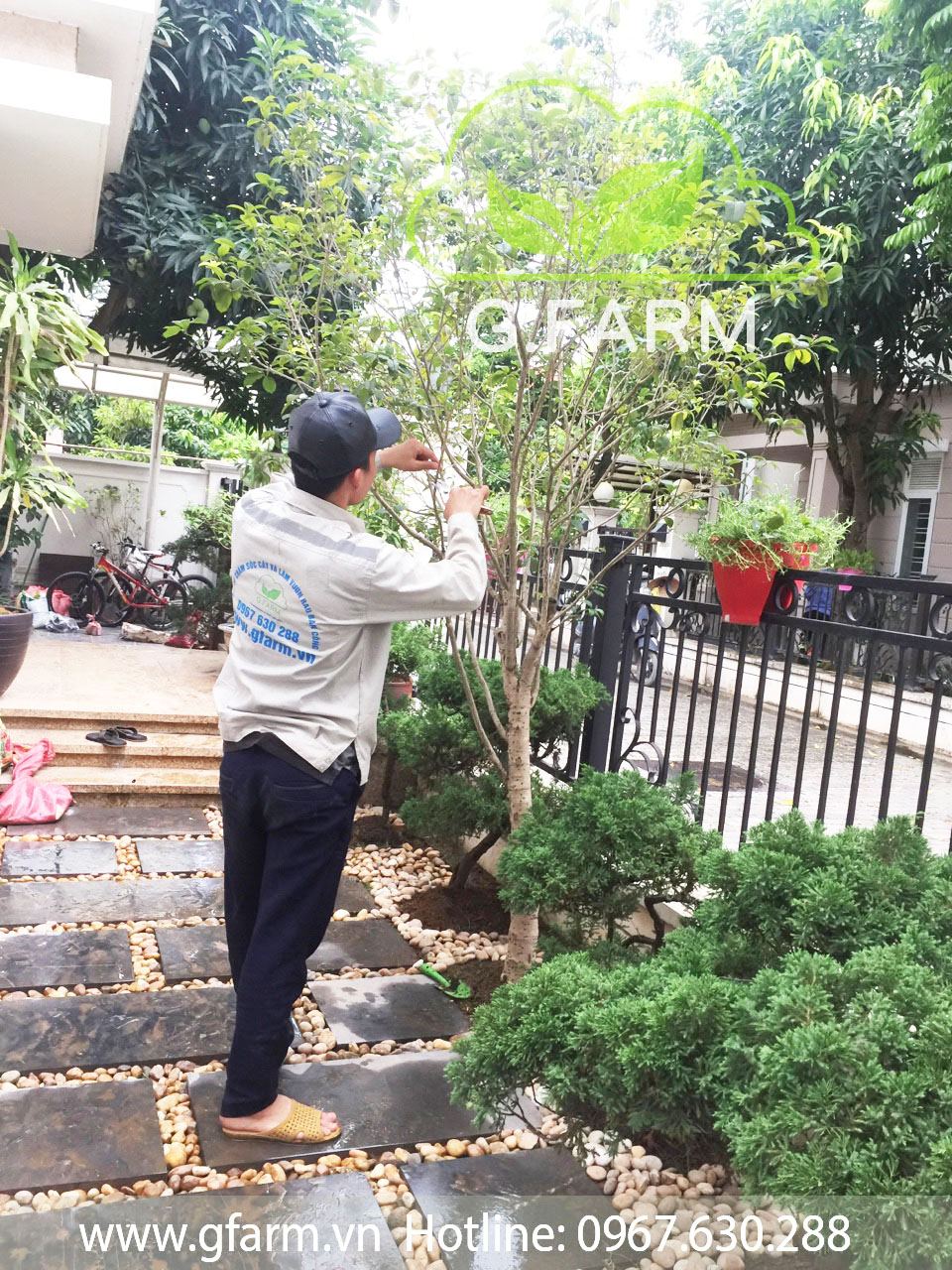 Chăm sóc vườn Gfarm