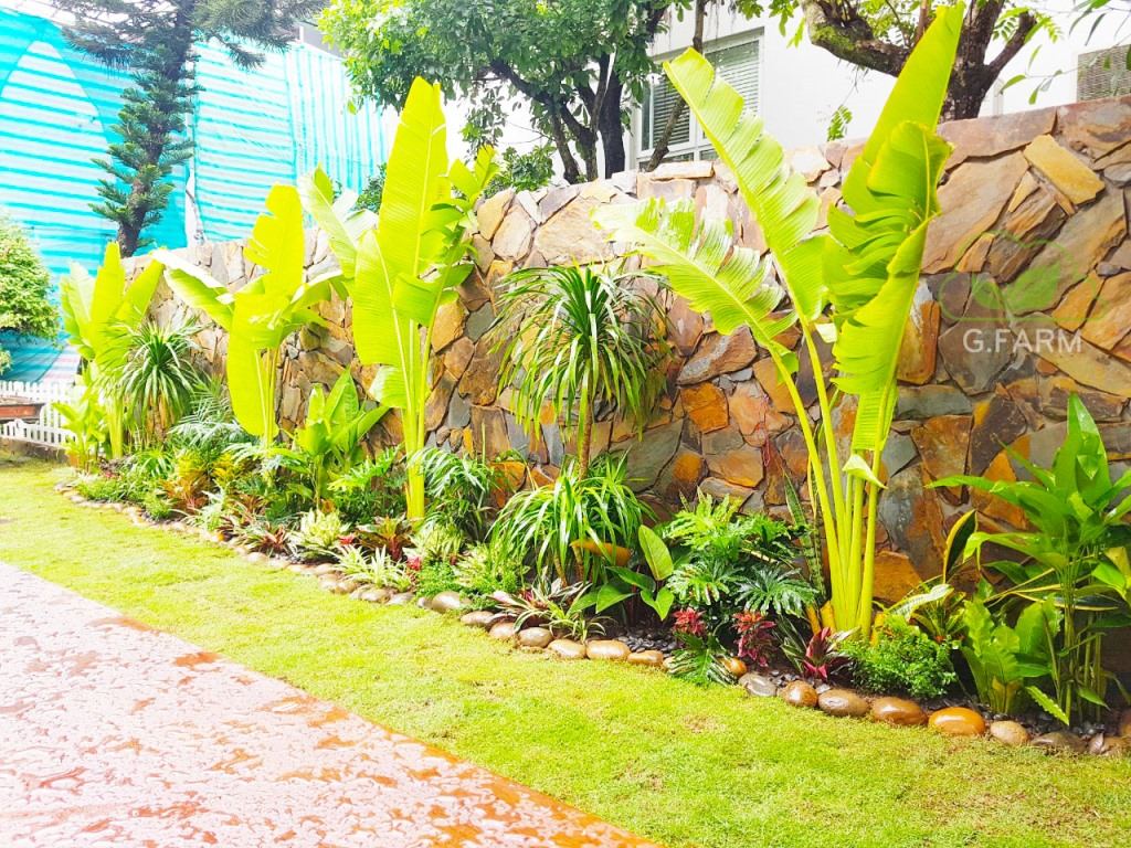 Thiết kê vườn Biệt thự Đồi Tùng Ecopark