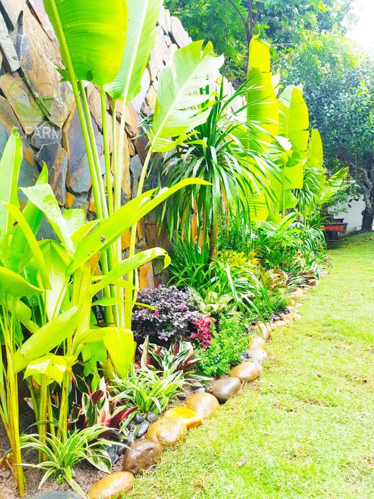 Thiết kê vườn Biệt thự Đồi Tùng Ecopark