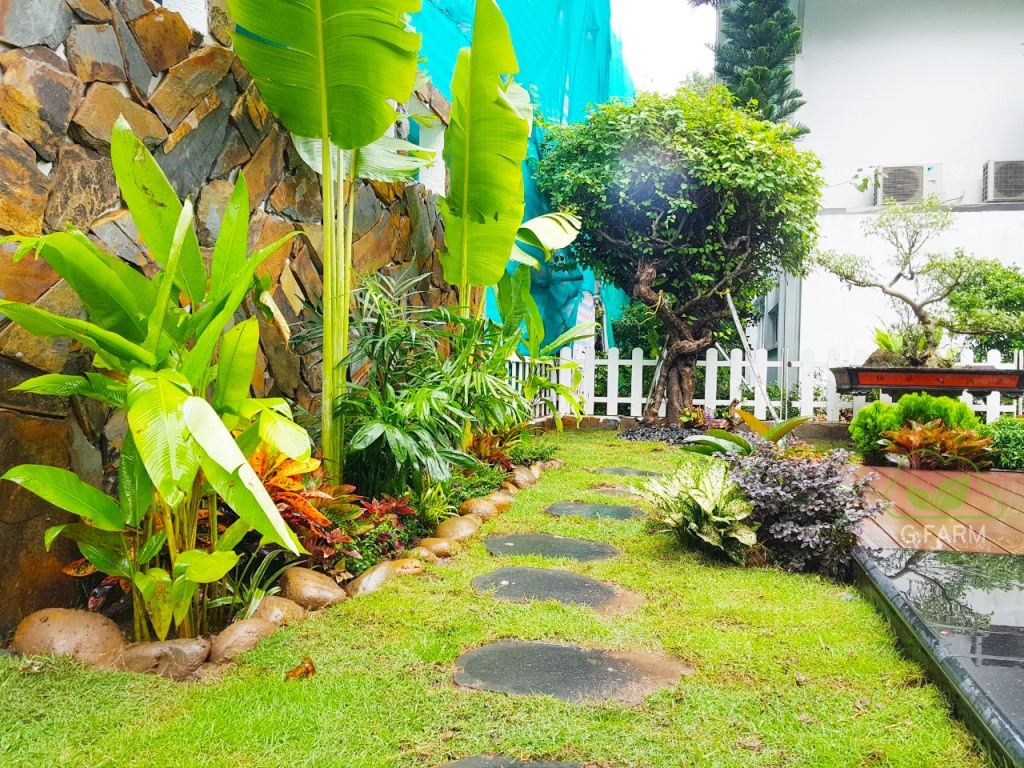 Thiết kê vườn Biệt thự Đồi Tùng Ecopark