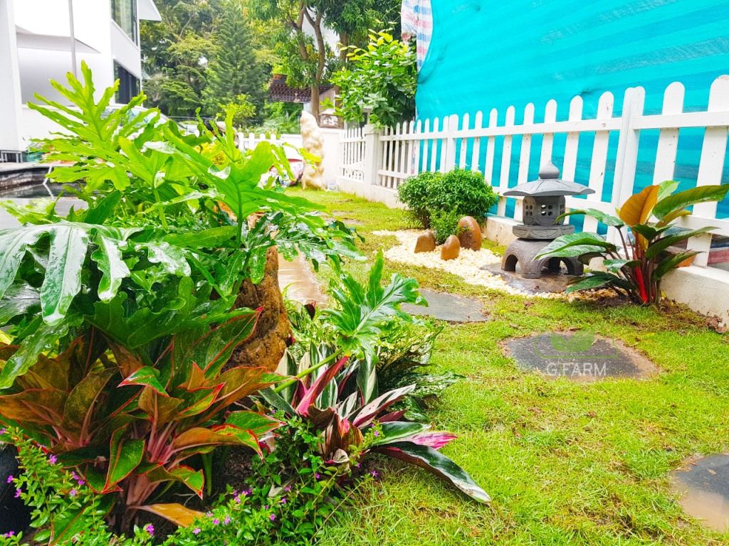 hoa đẹp