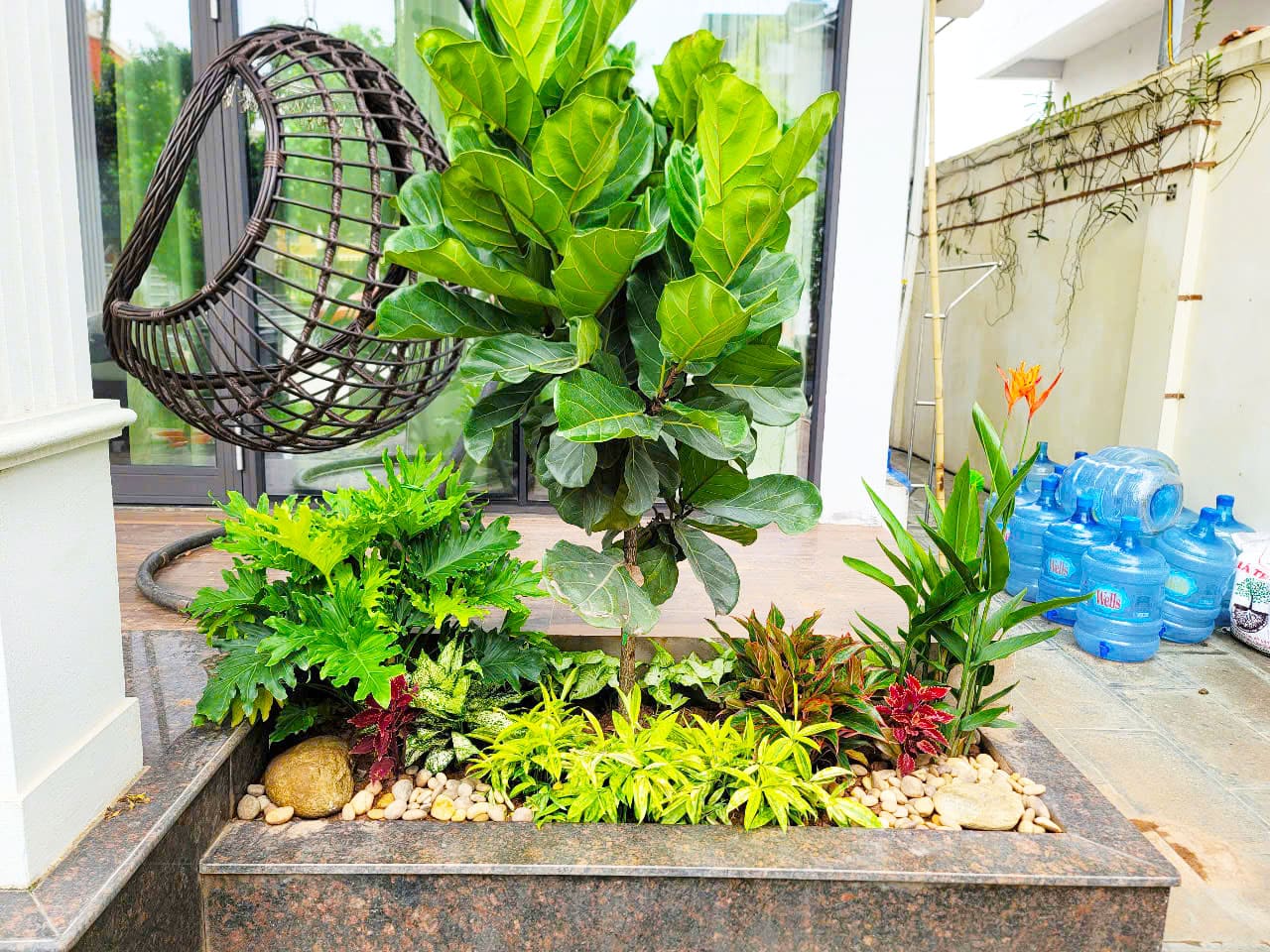 Thi công tiểu cảnh vườn biệt thự Cô Quyên Đông Hưng Thái Bình