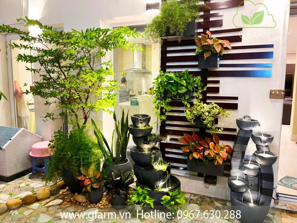Anh Việt Anh west lake Tây Hồ