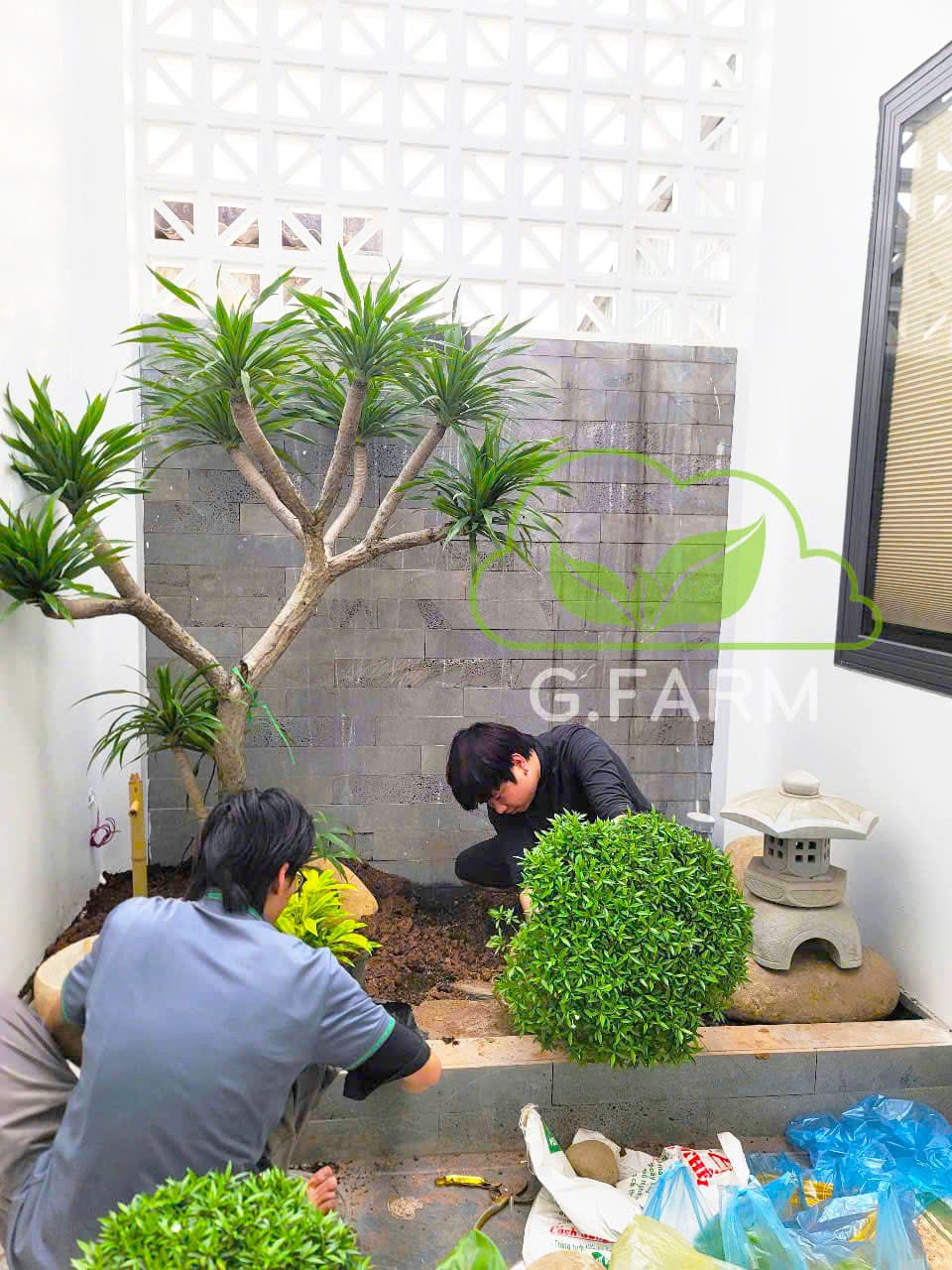 Tiểu cảnh giếng trời