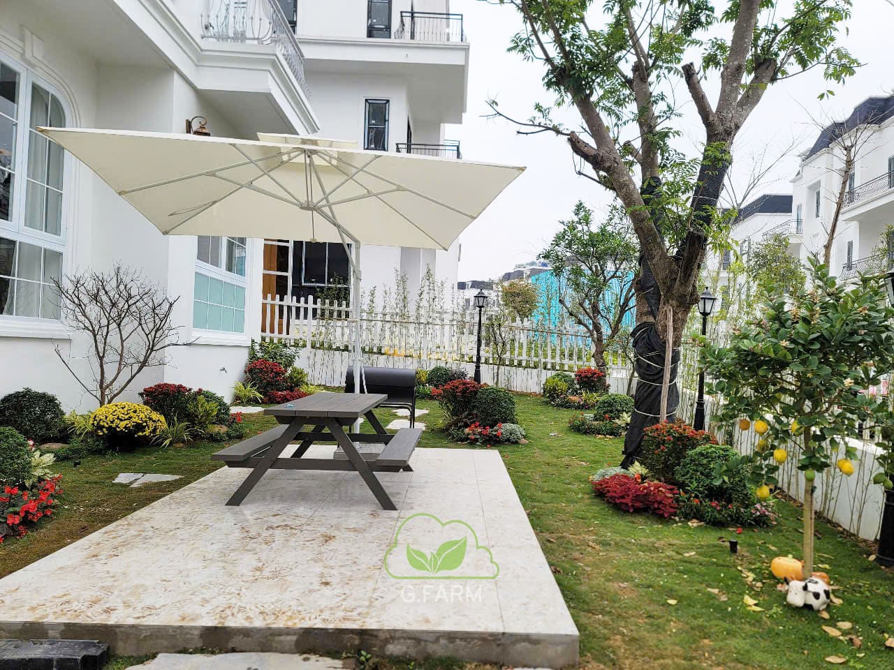 Thiết kế thi công sân vườn xanh villa