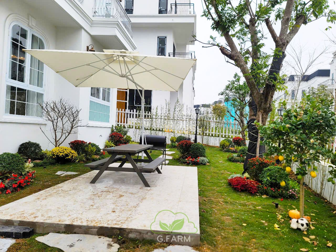 Thiết kế thi công sân vườn xanh villa