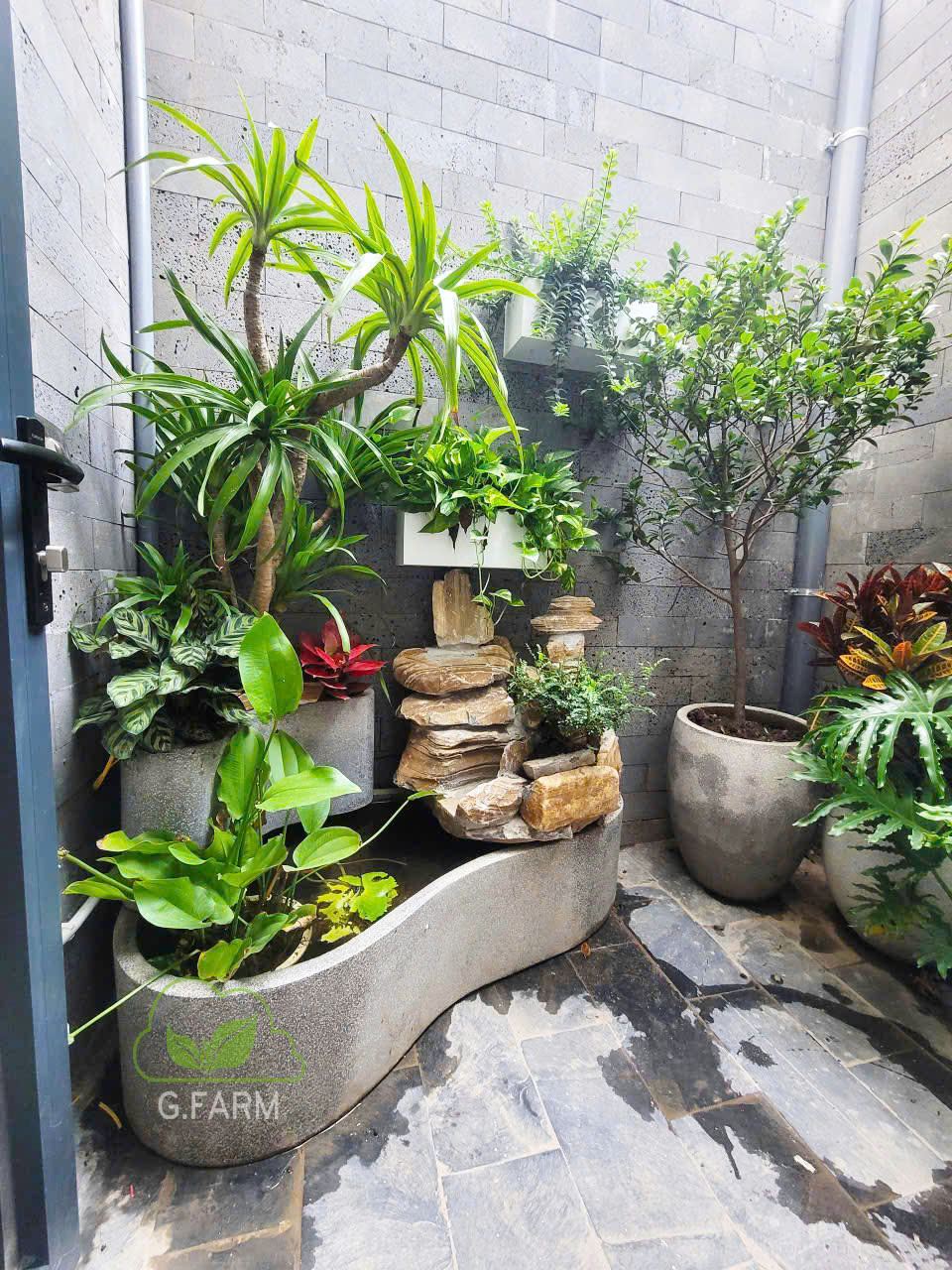 Dự án tiểu cảnh vườn nhà phố Long Biên 