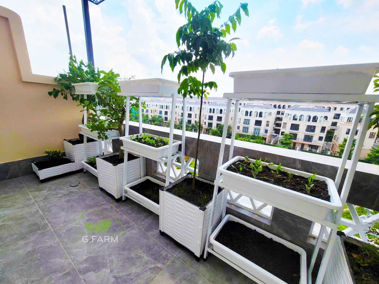 Vườn rau anh Dũng Vinhome Oceanpark 3