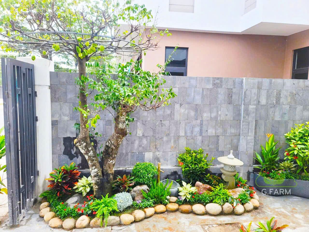 Vườn tiểu cảnh đẹp anh Tuân Ocean Park 3