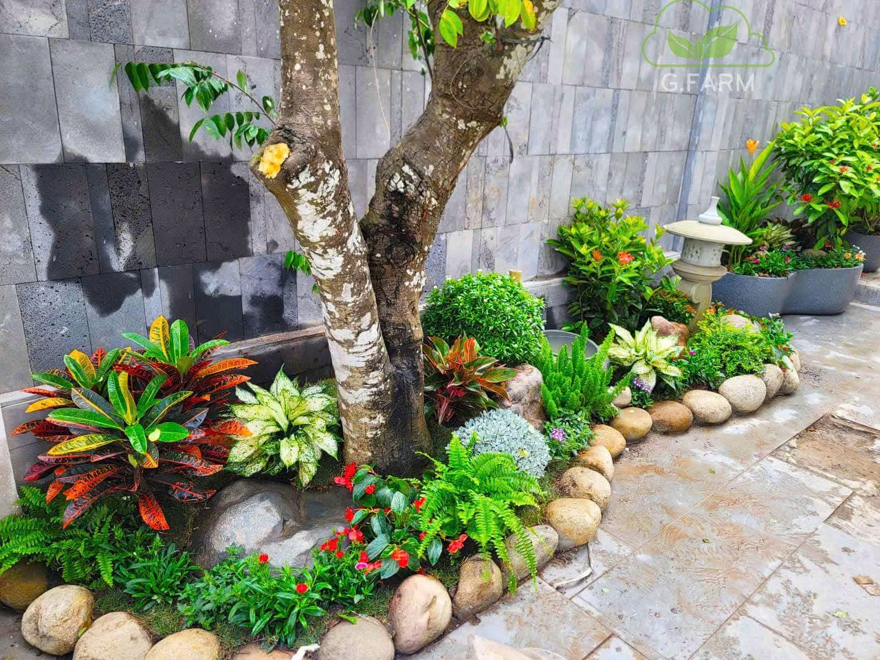 Vườn tiểu cảnh đẹp anh Tuân Ocean Park 3