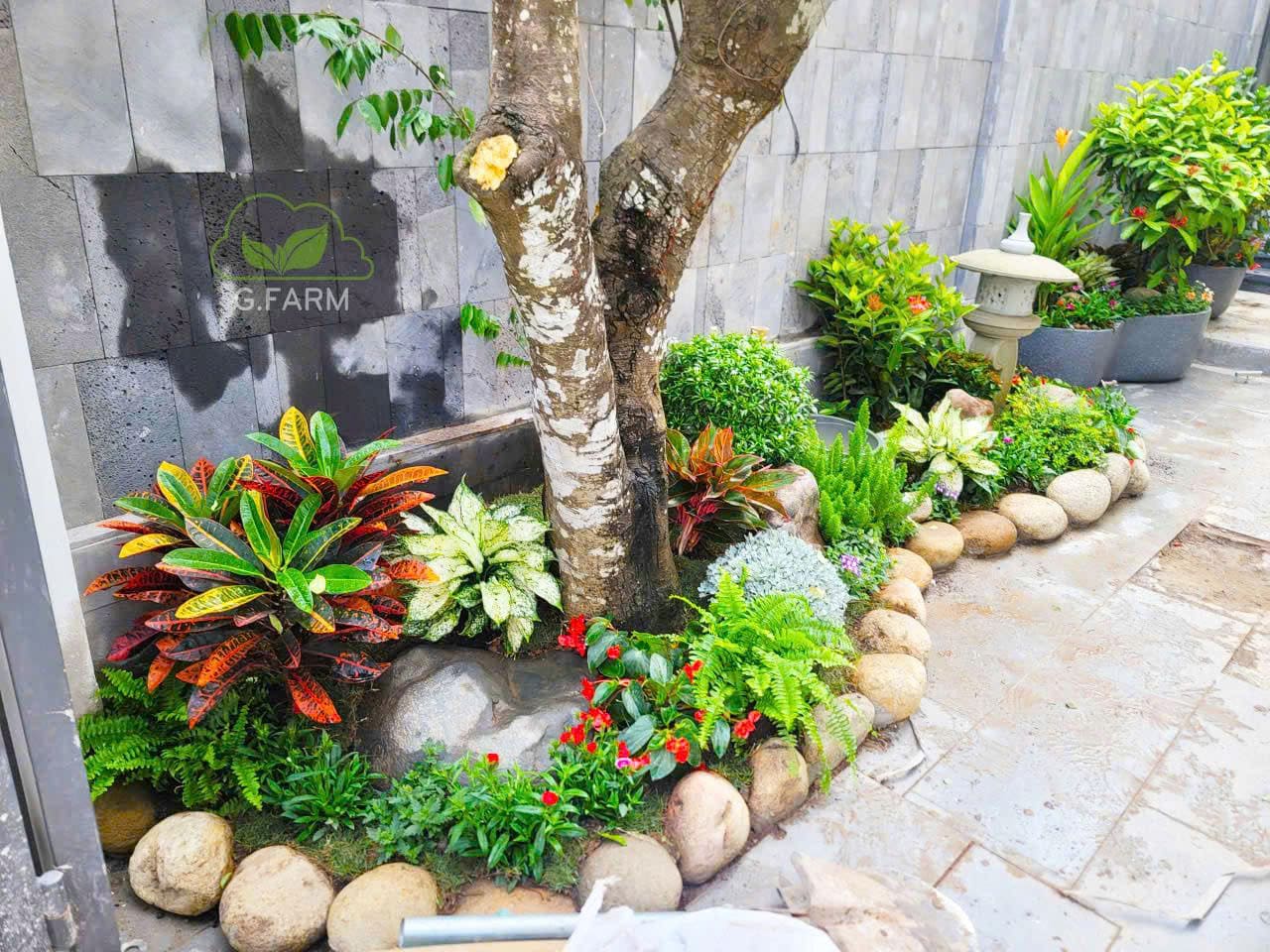 Vườn tiểu cảnh đẹp anh Tuân Ocean Park 3