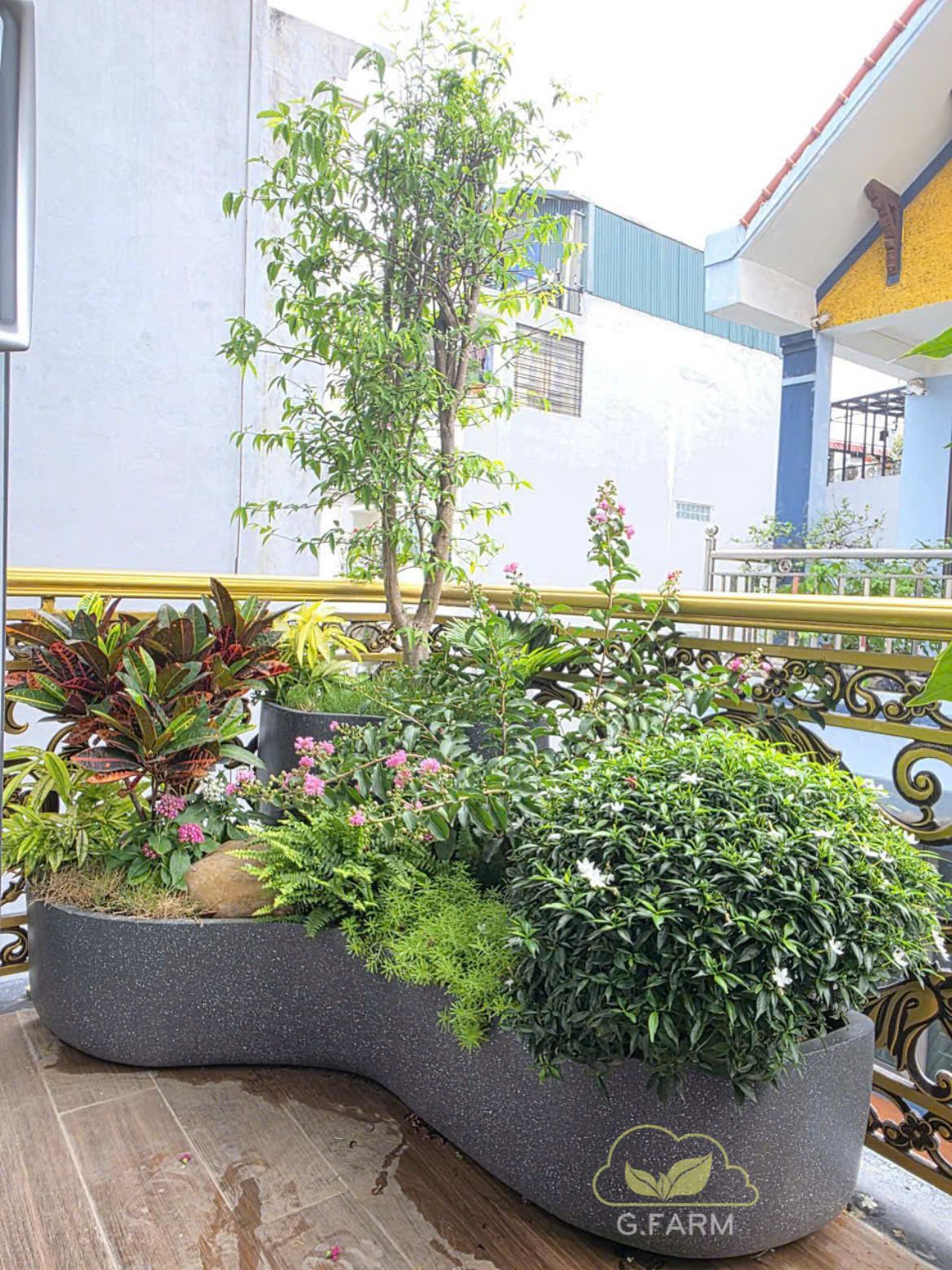 ban công tư bình