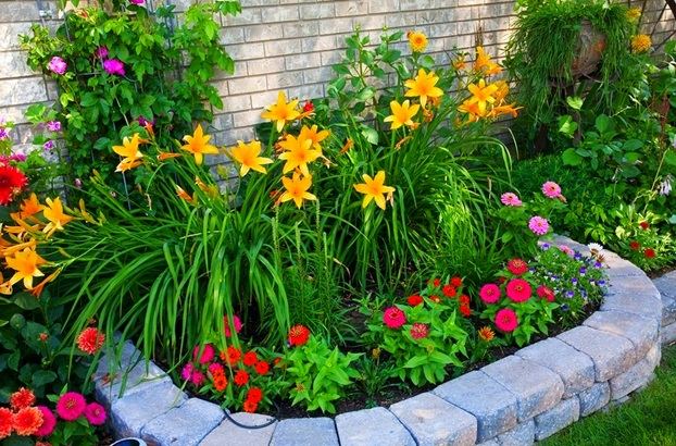 Mẫu vườn đẹp hiện đại