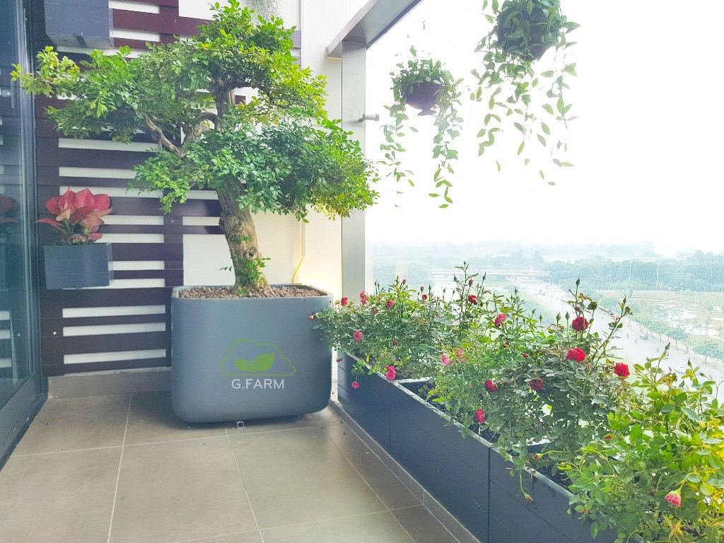 Ban công đẹp nhất HN