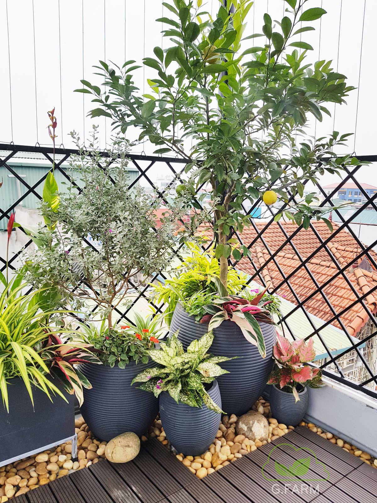 Sân thượng đẹp nhất Hà nội