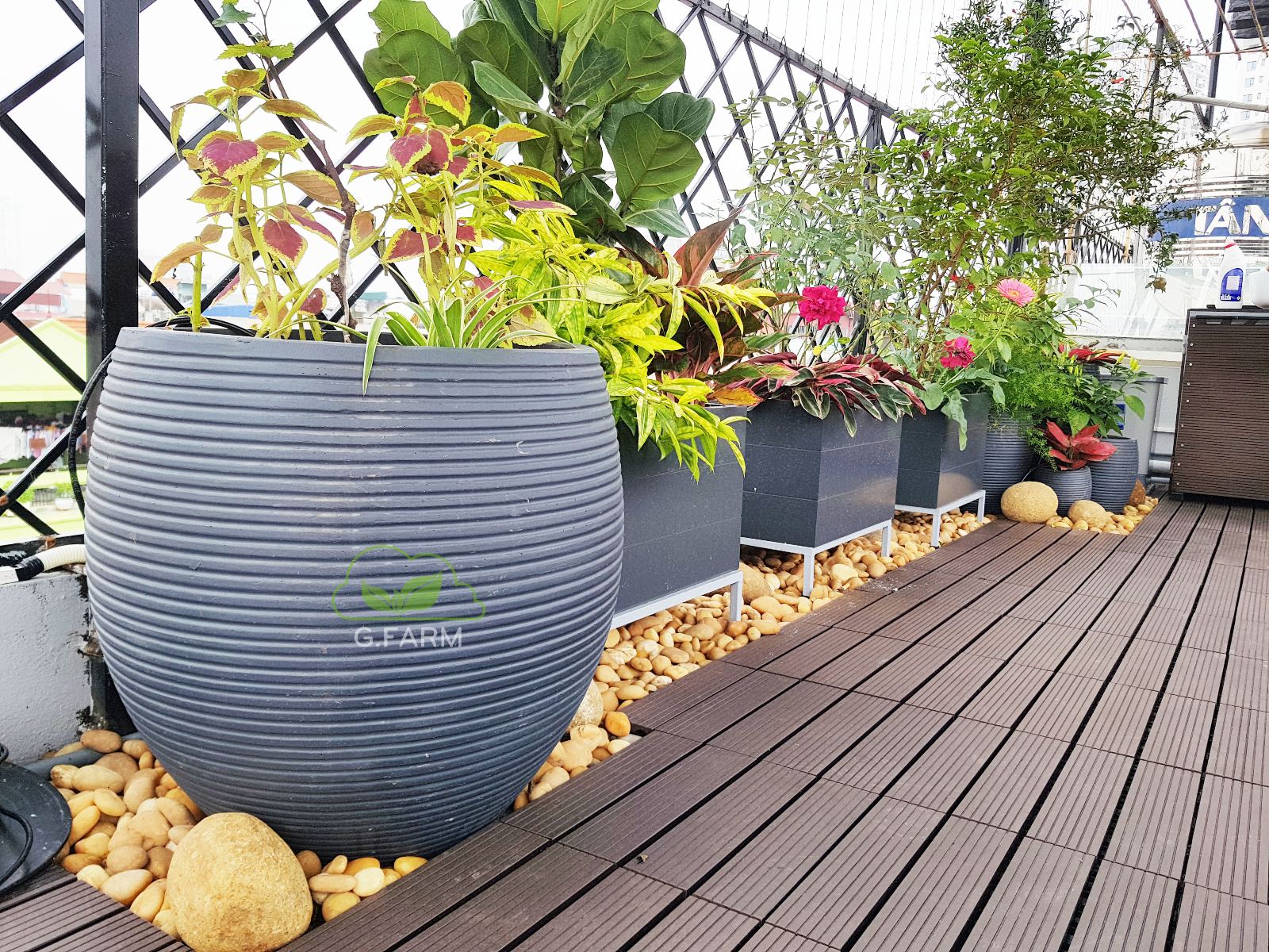 Sân thượng đẹp nhất Hà nội