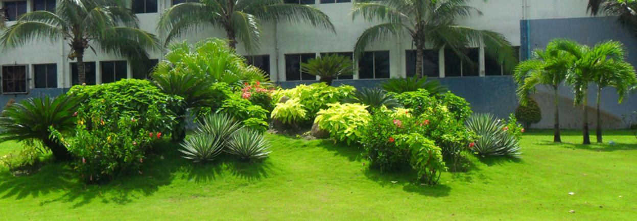 Ảnh khuyến mại 2
