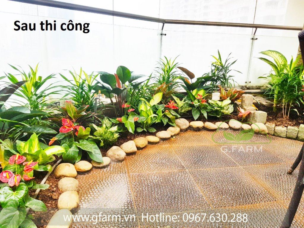 thiet-ke-canh-quan
