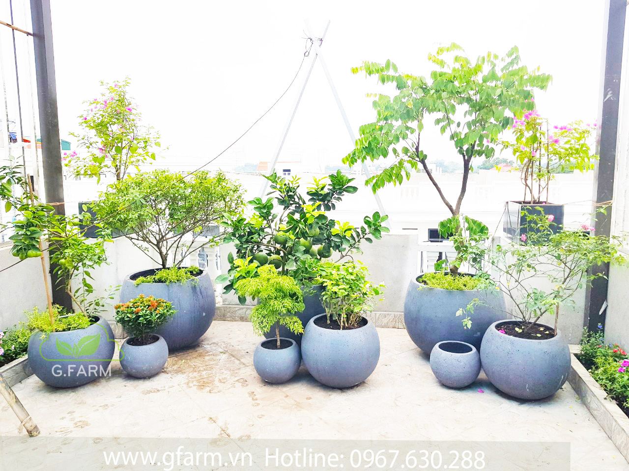 Thiết kế vườn trên sân thượng đẹp tại Hà nội